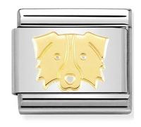 Nomination Border Collie Yellow Gold