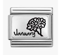 Nomination CLASSIC Composable Plates January Flower Charm 330112/13