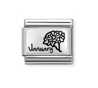 Nomination January Flower Plate Silver Shine Charm
