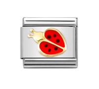 Nomination CLASSIC Composable Red & Black Enamel Ladybug Charm 030272/69