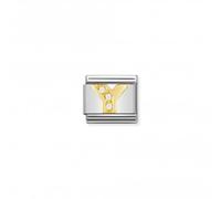 Nomination CLASSIC Gold Letters Cubic Zirconia Y Charm 030301/25