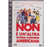 Non E'un'altra Stupida Commedia Ame