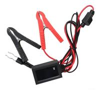 Non-Interruptive for battery Leak Detector for Vehicles Non-Interruptive
