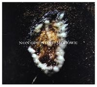 Non Opus Dei Morowe - Dziwki Dwie