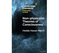Non-physicalist Theories of Consciousness