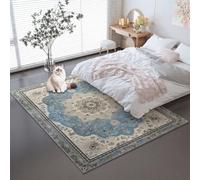 Non-Slip Area Rug 160 x 230 cm, Low Pile Machine Washable Carpet Shabby Chic Floral Frame Theme - Thin Durable Light Blue Pet Kid Friendly Rugs for Living Room Bedroom Dining Room Office