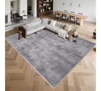 Non-Slip Area Rug 200x300cm Classic Design Soft Plush Carpet for Living Room Bedroom Terrace Hallway - Gray Home Decor Essentials
