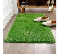 Non-Slip Bath Mat & Door Mat - Soft Microfiber Washable Rug Water Absorbent for Bathroom Kitchen Outdoor & Hallway (Green 80 x 100 cm)
