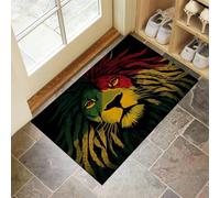 Non-Slip Door Mat Indoor, Lion Machine Washable Entrance Rug, Abstract Animal Soft Inside Floor Mat for Entryway, 50x70 cm Front Back Door Mat for Kitchen Bedroom Black