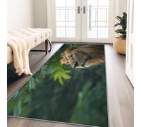 Non-Slip Hallway Runner Rugs Green 80 x 180 cm, Modern Nature Landscape Animal Lion Kitchen Carpet Runner, Washable Long Hall Rug Floor Mat for Entryway Bedroom Laundry Living Room