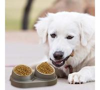 Non-spill Bowl Elevated Cat Food Bowl Cat Bowls With 2 Removable Stainless Steel Bowls Raised Elevated 15° For Food And Water For Cats Small Size (Grey, 35x19x11. 5cm)