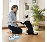 Non-spill Bowl Home Pet Cute Cartoon Frog 2 In 1 Pet Double Bowl Food Set Stock Sufficient Stainless Steel Cat Dog (Blue, 27. 5x14. 5cm)