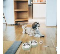 Non-spill Bowl Home Pet Cute Cartoon Frog 2 In 1 Pet Double Bowl Food Set Stock Sufficient Stainless Steel Cat Dog (Green, 27. 5x14. 5cm)
