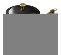 Non-Stick Cooking Pot - Cooking Pots with Lid for the Kitchen, Cast Iron Cookware with Wooden Handle, Asian for All Hob Types - for Soups & Seafood Preparation