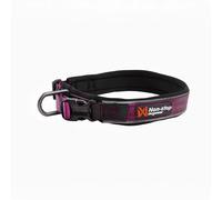 Non-Stop Dog Wear Roam Dog Collar - Purple - Size: Medium