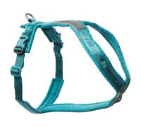 Non-Stop Dogwear Dog Harness Line Harness 5.0 Turquoise, Ergonomic, Washable