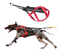 Non-stop dogwear FREEMOTION Harness 5.0 |111| Dog Harness for All Sports, Size: 8