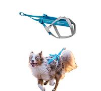 Non-stop dogwear Freemotion harness 5.0 Dog Pulling Harness for Sports like Running, Biking and Skiing with Dogs, Professional Adjustable Dog Harness, Blue/Gray, Size 6