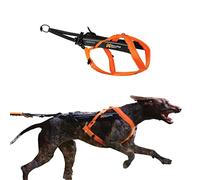 Non-stop dogwear Freemotion harness 5.0 Dog Pulling Harness for Sports like Running, Biking and Skiing with Dogs, Professional Adjustable Dog Harness, Orange/Black, Size 9