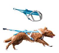 Non-stop dogwear Freemotion harness 5.0 Dog Pulling Harness for Sports like Running, Biking and Skiing with Dogs, Professional Adjustable Dog Harness, Blue/Gray, Size 5