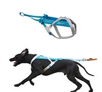Non-stop dogwear Freemotion harness 5.0 Dog Pulling Harness for Sports like Running, Biking and Skiing with Dogs, Professional Adjustable Dog Harness, Blue/Gray, Size 8