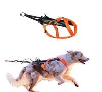 Non-stop dogwear Freemotion harness 5.0 Dog Pulling Harness for Sports like Running, Biking and Skiing with Dogs, Professional Adjustable Dog Harness, Orange/Black, Size 3