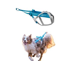 Non-stop dogwear Freemotion harness 5.0 Dog Pulling Harness for Sports like Running, Biking and Skiing with Dogs, Professional Adjustable Dog Harness, Blue/Gray, Size 6