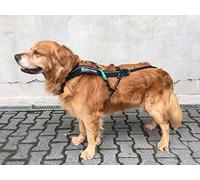Non-Stop Dogwear Freemotion Harness, Customisable, black