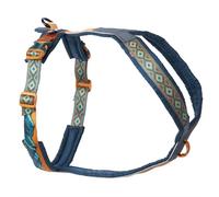 Non-Stop Dogwear Line Harness 5.0 Rachel Pohl Edition, Teal/Oak
