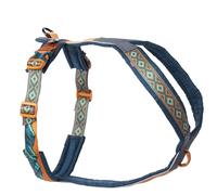 Non-stop dogwear Line Harness 5.0 Rachel Pohl Edition Teal/Oak, Size: 2