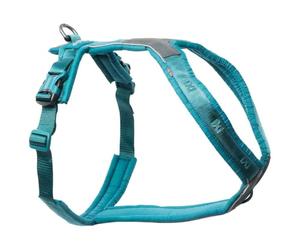 Non-Stop Dogwear Line Harness 5.0, Teal - 7