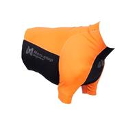 Non-Stop Dogwear Protector T-Shirt, Black/Orange (L)