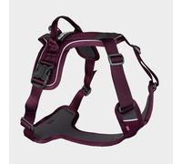 Non-Stop Dogwear Ramble Harness, Purple L