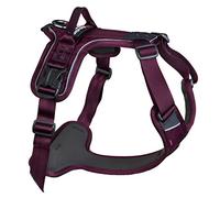 Non-stop dogwear Ramble Harness Purple Lead and Everyday Harness, Size: M