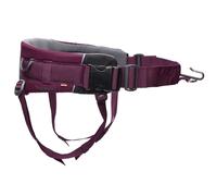 Non-stop dogwear Trekking Belt 2.0 - Dog walking belt Purple S