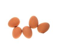 Non-Toxic Playing Chewing Fetching Rubber Bouncing Egg Ball Toy for Puppies (Set of 5)