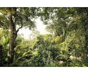 Non-woven decor Wallpaper Tropical Forest bright green jungle bedroom mural