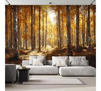 Non-Woven Panoramic Wall Mural Aspen Birch Forest 3D Photo Wallpaper | Wipeable Waterproof Mural Wallpaper Autumn Landscape Feature Wall Art 300x210 cm for Living Room Bedroom Home Office b192