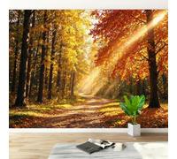 Non-Woven Paste The Wall Mural 3D Autumn Forest Photo Wallpaper | Wipeable Waterproof Mural Wallpaper Sunbeam Landscape Feature Wall Art 400x280 cm for Living Room Bedroom Home Office M194