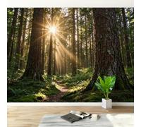 Non-Woven Paste The Wall Mural 3D Sunbeam Forest Photo Wallpaper | Wipeable Waterproof Mural Wallpaper Natural Landscape Feature Wall Art 500x280 cm for Living Room Bedroom Home Office M230