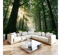 Non-Woven Paste The Wall Mural 3D Sunbeam Misty Forest Photo Wallpaper | Wipeable Waterproof Mural Wallpaper Woodland Landscape Feature Wall Art 400x280 cm for Living Room Bedroom Home Office N159