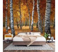 Non-Woven Photo Murals for TV & Sofa Background Wall Decoration, Autumn Scenery of Birch Jungle Wall Art Decor Wallpaper Natural Scenery 3D Mural Large Wallpaper for Bedroom Living Office 300x210 cm