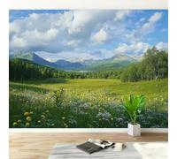 Non-Woven Photo Wallpaper 3D Alpine Mountain Feature Wall Mural Matt | Wipeable Panoramic Mural Wallpaper 250x175 cm Birch Forest Landscape Paste The Wall Art for Living Room Bedroom Home Office