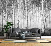 Non-Woven Photo Wallpaper 3D Birch Forest Feature Wall Mural Matt | Wipeable Panoramic Mural Wallpaper 150x105 cm Tree Woodland Paste The Wall Art for Living Room Bedroom Home Office C0