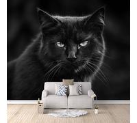 Non-Woven Photo Wallpaper Cat Cute 3D Pattern Animal Wall Mural 500x280 cm Durable Waterproof Easy to Clean Wall Paper for Living Room Corridor Café Gallery Office Decoration Mural Poster