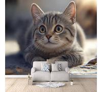 Non-Woven Photo Wallpaper Cat Cute 3D Pattern Animal Wall Mural 500x280 cm Durable Waterproof Easy to Clean Wall Paper for Living Room Corridor Café Gallery Office Decoration Mural Poster