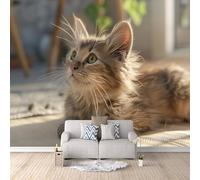 Non-Woven Photo Wallpaper Cat Cute Yellow 3D Pattern Animal Wall Mural 500x280 cm Durable Waterproof Easy to Clean Wall Paper for Living Room Corridor Café Gallery Office Decoration Mural Poster