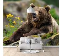 Non-Woven Photo Wallpaper Murals 78x55 inch, Animal Photography Grizzly Bear 3D Wall Mural Poster for Bedroom, Children's Room, Living Room, Home Decoration Wall Painting Color