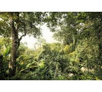 Non-woven Photo Wallpaper Tropical Forest bright green jungle bedroom mural