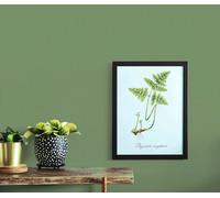 Non-Woven Wallpaper Casual Chic Dark Green plain 10262-07 Erismann (3,02£/1qm)
